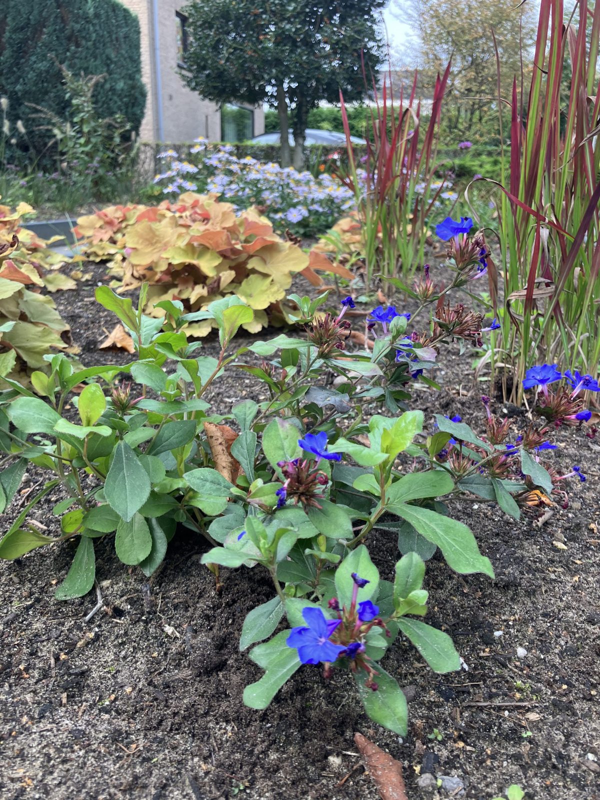 De eerste stap naar jouw droomtuin