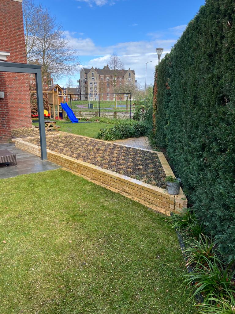 Aangelegde tuin met groen en bestrating