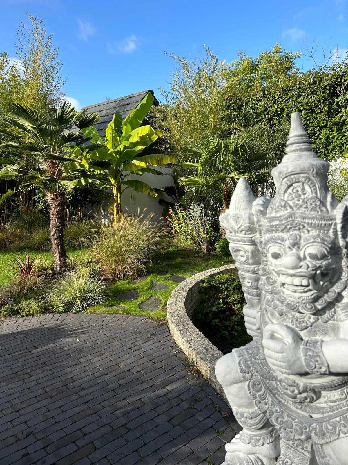 Beplantingsplan met diverse planten