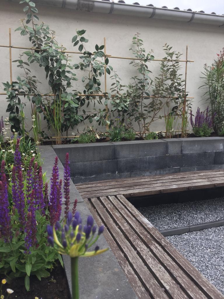 Achtertuin Acht Eindhoven