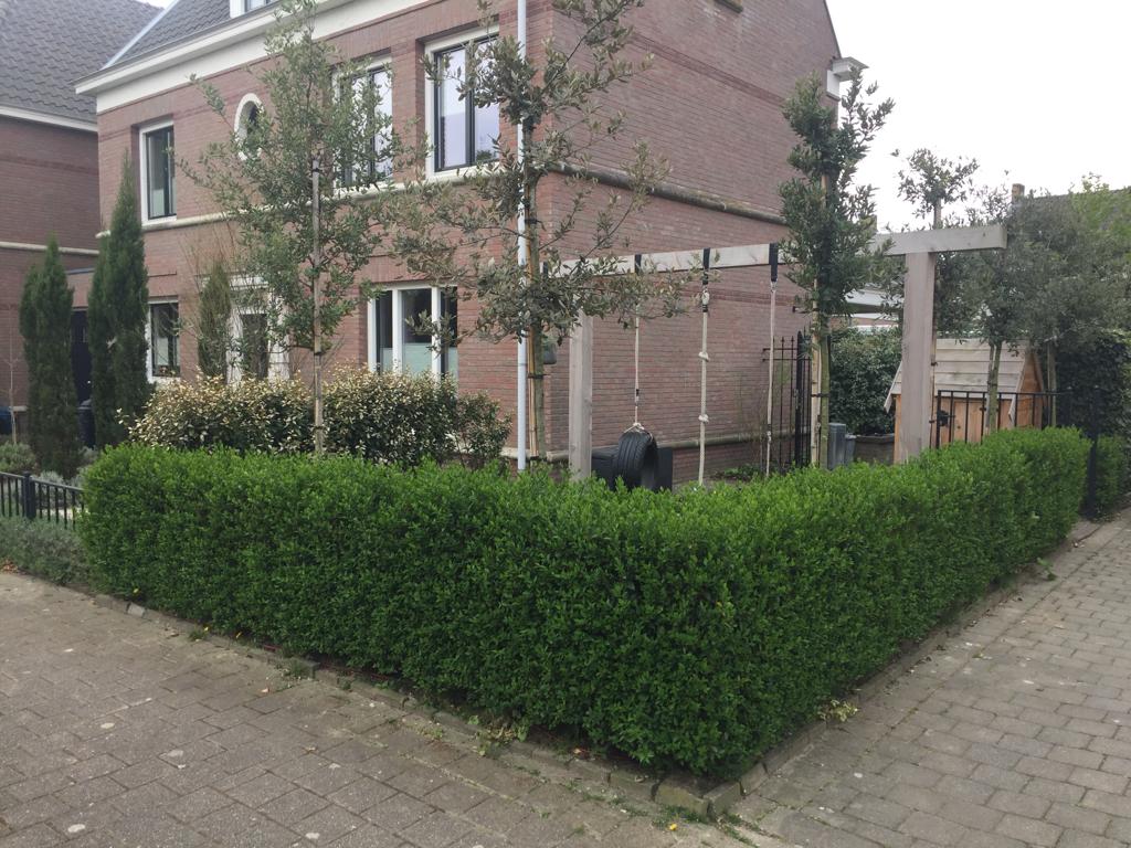 Tuin in een Mediterrane sfeer